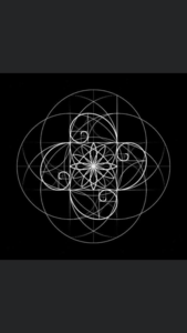 Ponçage parquet vitrification Francois Montrouge, Revêtements au sol