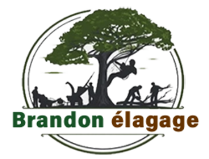 Brandon Elagage Drancy, Abattage, élagage et taille