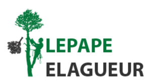 Anthony Lepape Pontoise, Abattage, élagage et taille