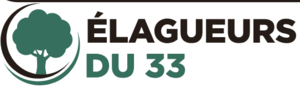 Élagueurs du 33 Bordeaux, Abattage, élagage et taille, Abattage, élagage et taille, Entretien de jardin