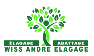 WISS ELAGAGE 76 Sotteville-Lès-Rouen Sotteville-lès-Rouen, Abattage, élagage et taille