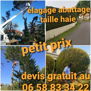 Sony et fils élagage a petit prix taille haie  Lescar, Entretien d'espaces verts, Rénovation de toiture