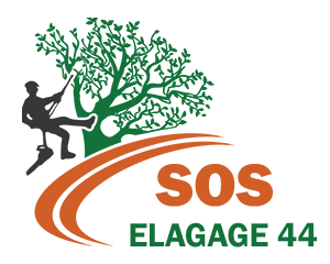 SOS Elagage Mouzeil, Abattage, élagage et taille