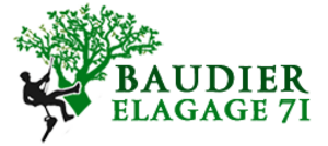 Baudier Elagage Le Creusot, Abattage, élagage et taille