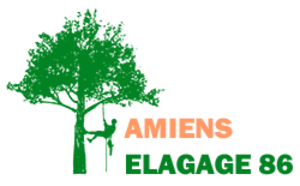 Amiens Elagage | Elagueur chatellerault Châtellerault, Abattage, élagage et taille