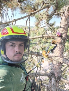 ECM PRO SERVICE ÉLAGAGE  Aubervilliers, Entretien de jardin, Abattage, élagage et taille