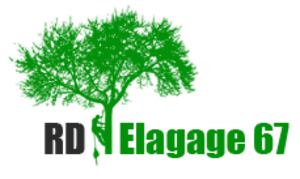 RD Elagage 67 Brumath, Abattage, élagage et taille