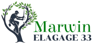 Marwin Elagage Mérignac, Abattage, élagage et taille