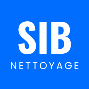 sib nettoyage Osny, Entretien / nettoyage de toiture