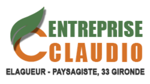 Entreprise Claudio Saint-Denis-de-Pile, Abattage, élagage et taille