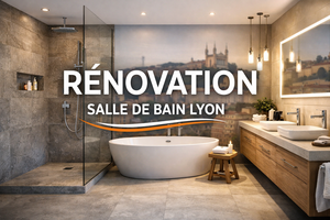 Le Dain concept REnovation Lyon, Revêtements extérieurs, Aménagement de combles