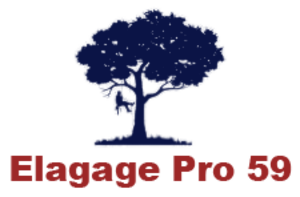 Elagage Pro 59 Lambersart, Abattage, élagage et taille