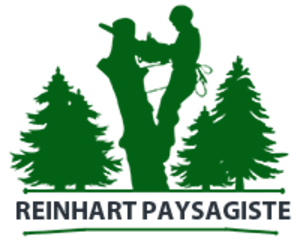 Reinhart Paysagiste Courcelles-lès-Montbéliard, Entretien de jardin, Abattage, élagage et taille