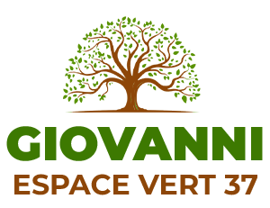 Giovanni Espace vert 37 Saint-Martin-le-Beau, Abattage, élagage et taille