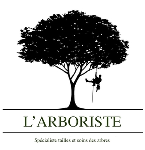 L'arboriste Montpellier, Abattage, élagage et taille, Abattage, élagage et taille