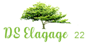 SD Élagage Saint-Agathon, Abattage, élagage et taille, Jardinage-paysagerie