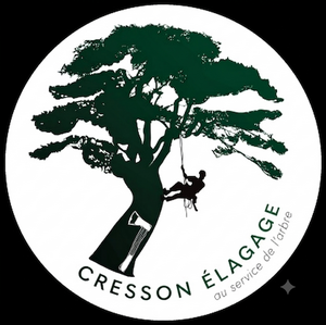 Cresson élagage 45 Orléans, Abattage, élagage et taille, Jardinage-paysagerie