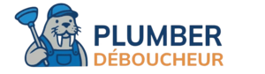 Plumber Deboucheur Saint-Witz, Assainissement général, Débouchage d'égouts, Débouchage d'évier, Débouchage de canalisation en urgence, Débouchage de douche, Débouchage de lavabo, Débouchage de wc et toilettes, Débouchage et dégorgement toutes canalisations, Dépannage plomberie, Vidange de fosse septique 