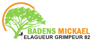 Badens Mickael Grimpeur Elagueur Montauban, Abattage, élagage et taille, Entretien d'espaces verts, Entretien de jardin, Jardinage-paysagerie, Terrassement