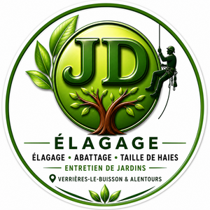 Entreprise JD  Verrières-le-Buisson, Création et aménagement de jardins, Abattage, élagage et taille