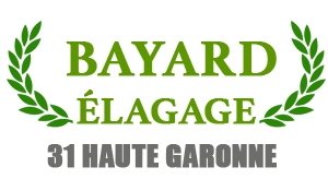 Bayard Castanet-Tolosan, Abattage, élagage et taille
