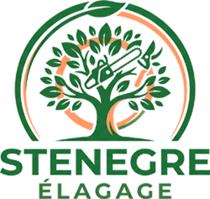 Stenegre Elagage Étroussat, Abattage, élagage et taille