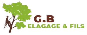 GB Élagage & Fils Poisy, Abattage, élagage et taille