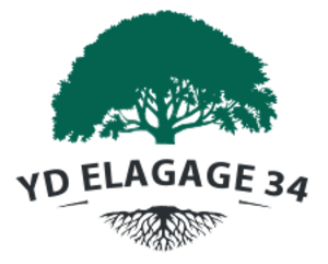 YD Elagage 34 Vauvert, Création et aménagement de jardins, Abattage, élagage et taille, Entretien de jardin
