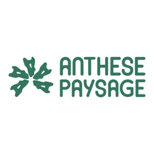 Anthese Paysage Camlez, Jardinage-paysagerie, Construction de terrasse en bois
