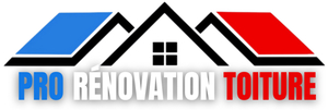 Pro rénovation toiture  Gosier, Rénovation de toiture, Charpente, Couverture, Peinture