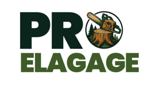 Pro Elagage KD Saint-Mesmin, Abattage, élagage et taille, Terrassement