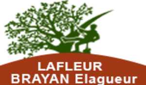 Entreprise Brayan Elagueur Saint-Junien, Abattage, élagage et taille, Entretien d'espaces verts, Entretien de jardin, Jardinage-paysagerie