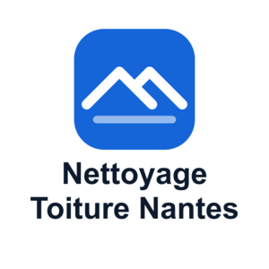 Nettoyage toiture Nantes 44 Nantes, Artisan du bâtiment, Entretien / nettoyage de toiture
